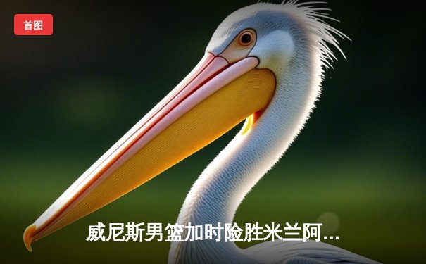 威尼斯男篮加时险胜米兰阿玛尼 主场豪取八连胜